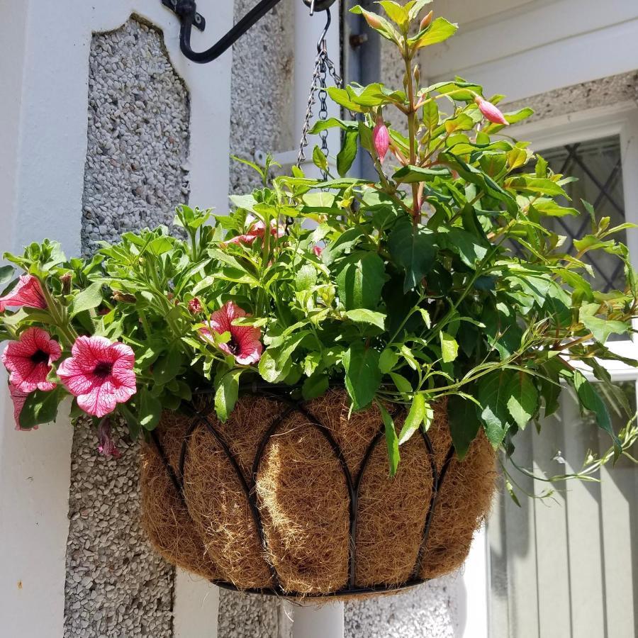 Eden'S Rest Bed And Breakfast Bugle Esterno foto
