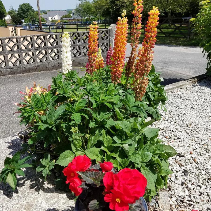 Eden'S Rest Bed And Breakfast Bugle Esterno foto